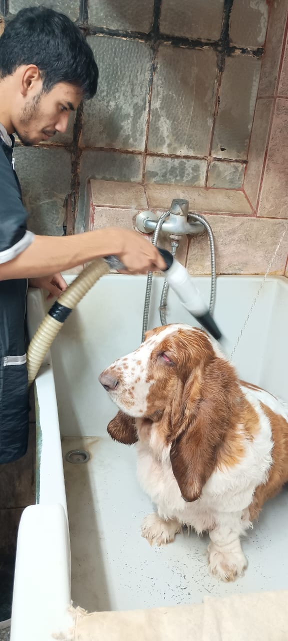 EXPERIENCIAS LABORALES EN CONTEXTOS REALES